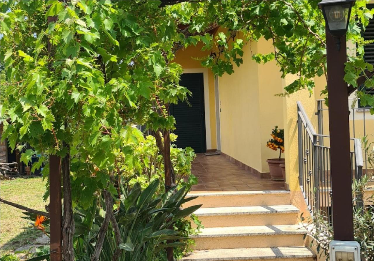La Terrazza Sui Limoni - Suite Degli Ospiti - Mare, Escursioni A Piedi O Bike, Falesie Per Arrampicate Cisano sul Neva Εξωτερικό φωτογραφία