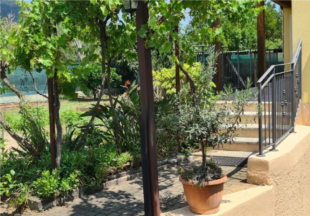 La Terrazza Sui Limoni - Suite Degli Ospiti - Mare, Escursioni A Piedi O Bike, Falesie Per Arrampicate Cisano sul Neva Εξωτερικό φωτογραφία